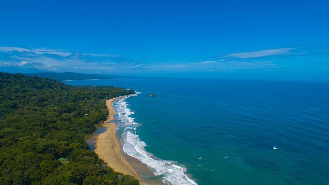 Gigi Brown Villa Paparazzi Beachfront Puerto Viejo de Talamanca Bagian luar foto
